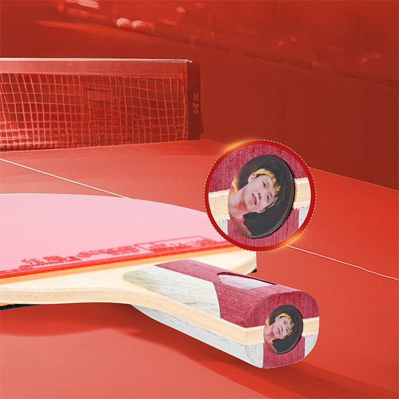 DHS Tafeltennisracket Met Hurr - Table Tennis Champion recensie en prijs