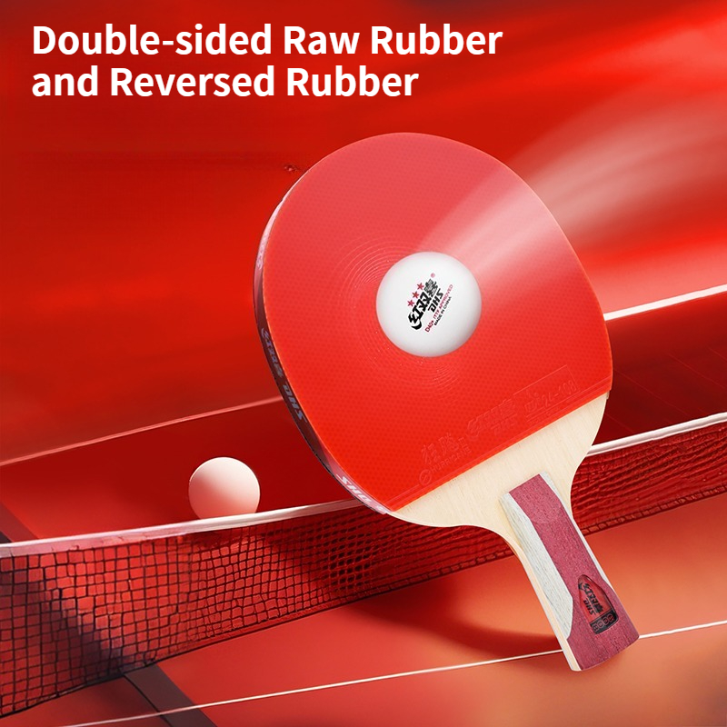DHS Tafeltennisracket Met Hurr - Table Tennis Champion recensie en prijs