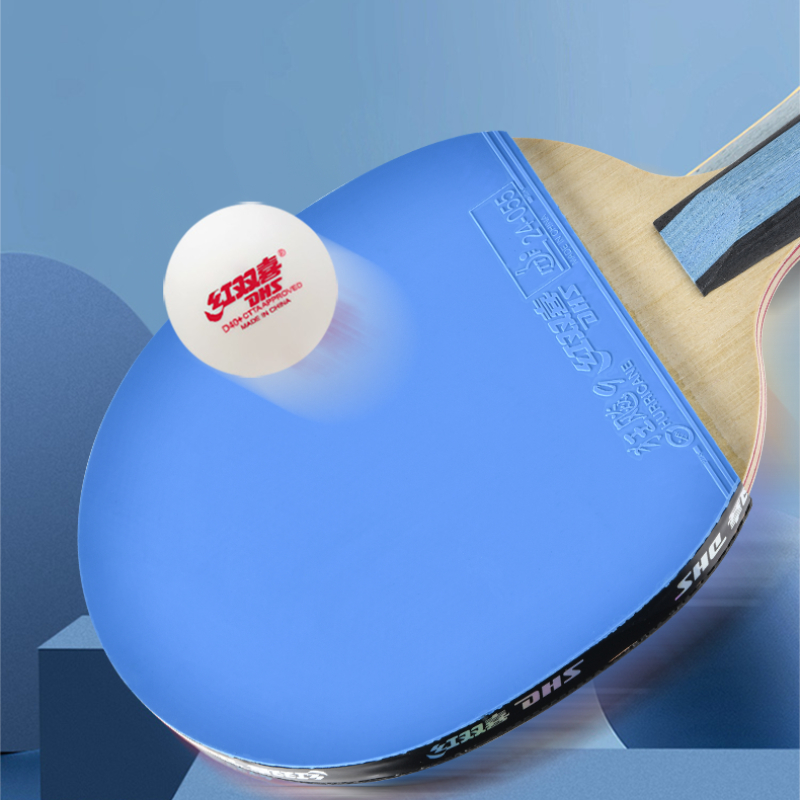 DHS 6 Ster H6008 Tafeltennisra - Table Tennis Champion recensie en prijs
