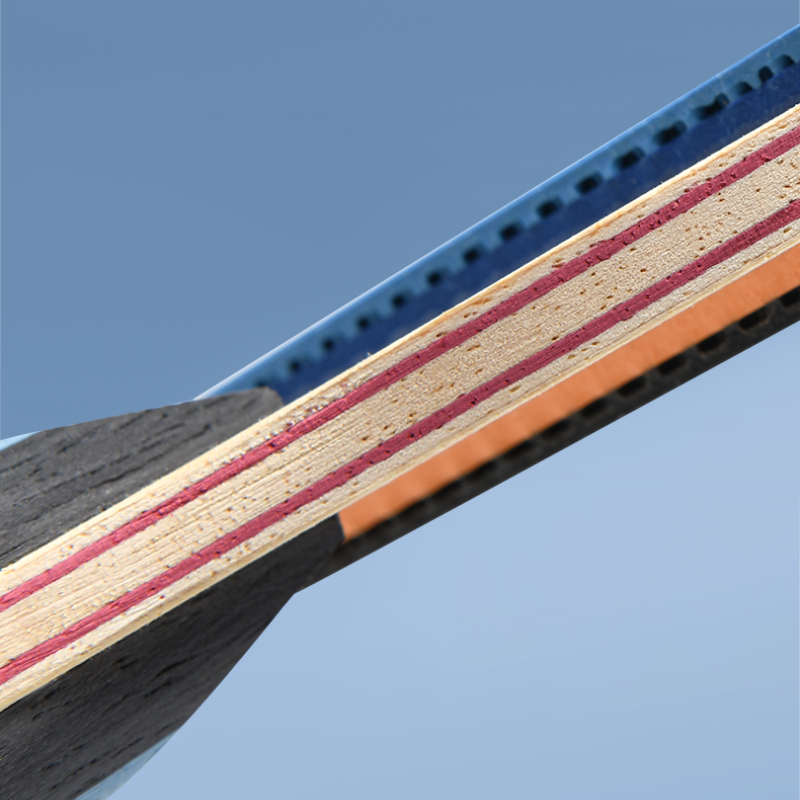 DHS 6 Ster H6008 Tafeltennisra - Table Tennis Champion recensie en prijs