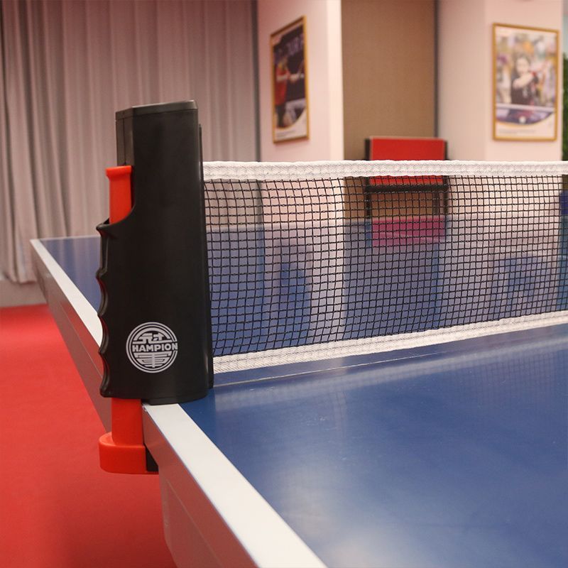Dubbele Vis Kampioen Tafeltenn - Table Tennis Champion recensie en prijs