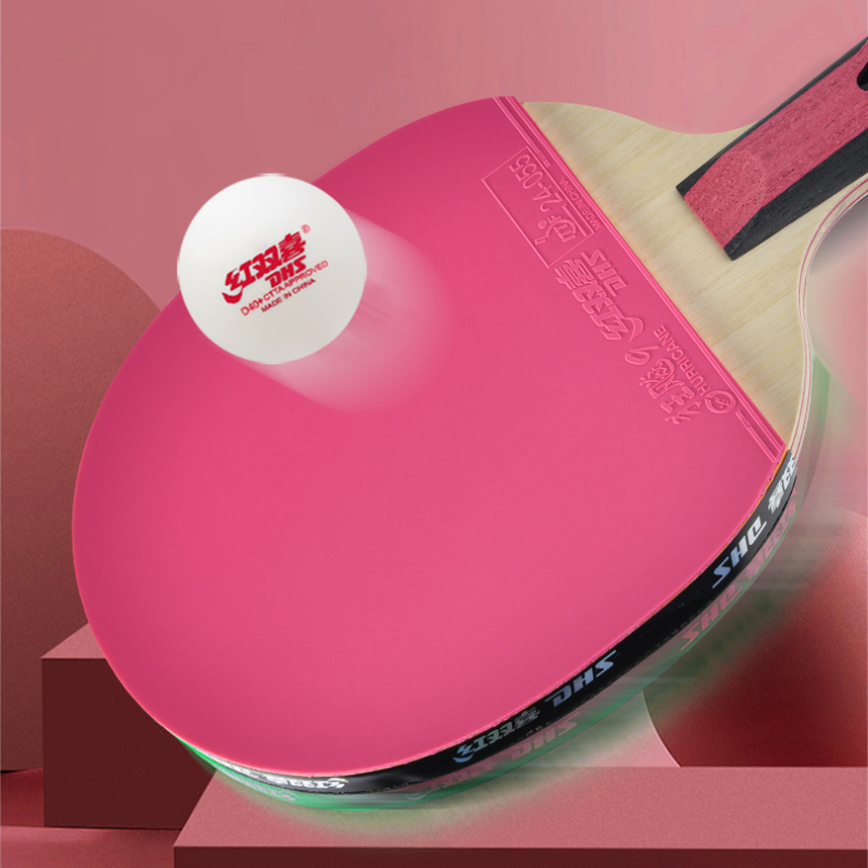 DHS 6-sterren tafeltennisracke - Table Tennis Champion recensie en prijs