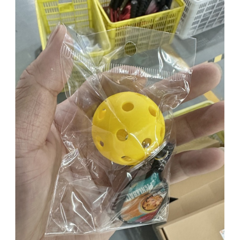 Mini Pickleball-hanger, mini-p - Table Tennis Score recensie en prijs